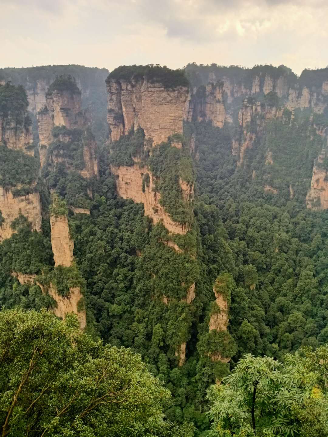 板式換熱器,板式換熱器機組,鈦材板式換熱器,板式冷凝器,全焊接板式換熱器,釬焊板式換熱器,衛生級板式換熱器,寬流道板式換熱器,容積式換熱器,盤管換熱,換熱設備,板式冷卻器,換熱器廠家,換熱設備